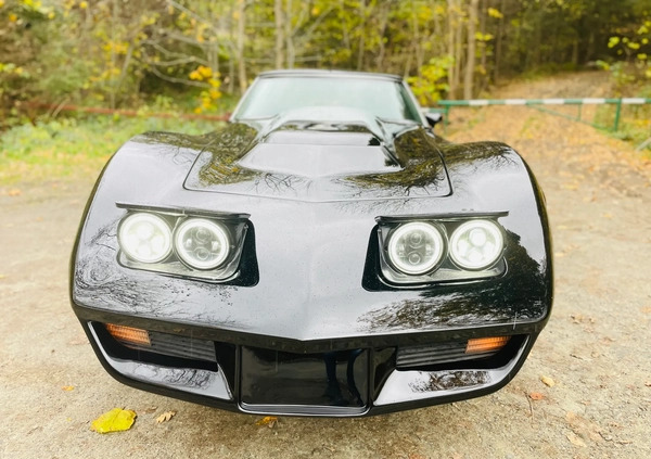 Chevrolet Corvette cena 82000 przebieg: 80000, rok produkcji 1977 z Kraków małe 232